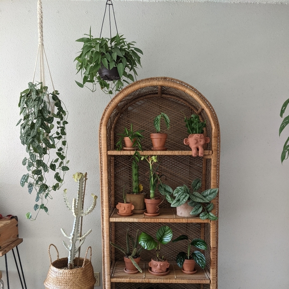 🚫SOLD Three Macrame Plant Hangings - Picture 5 of 9